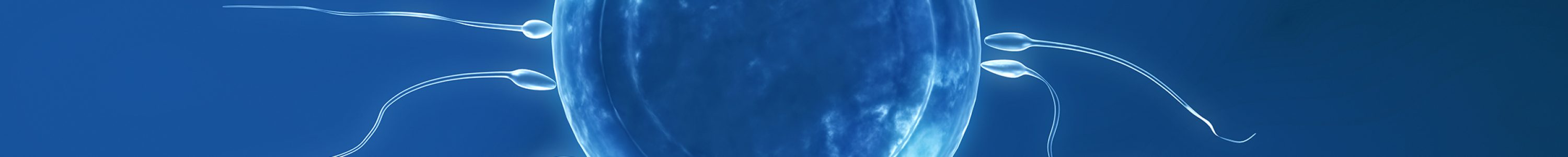 Óvulos-y-esperma-de-donante
